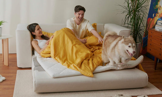 What makes the Cushie Sofa pet friendly